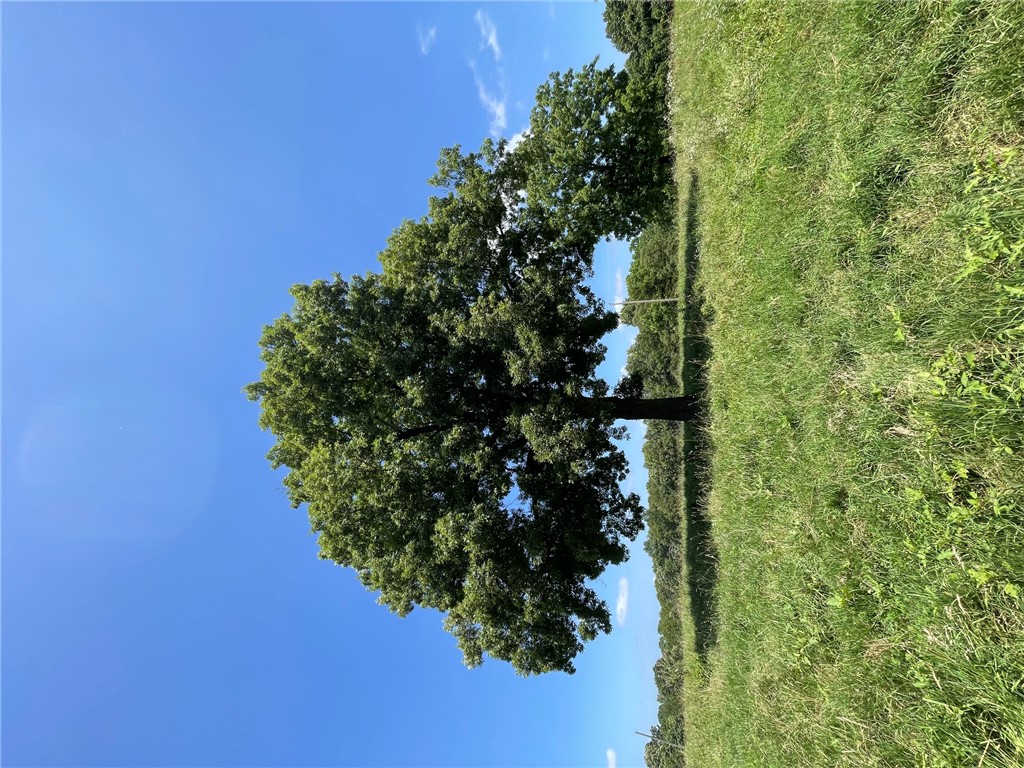Image 21