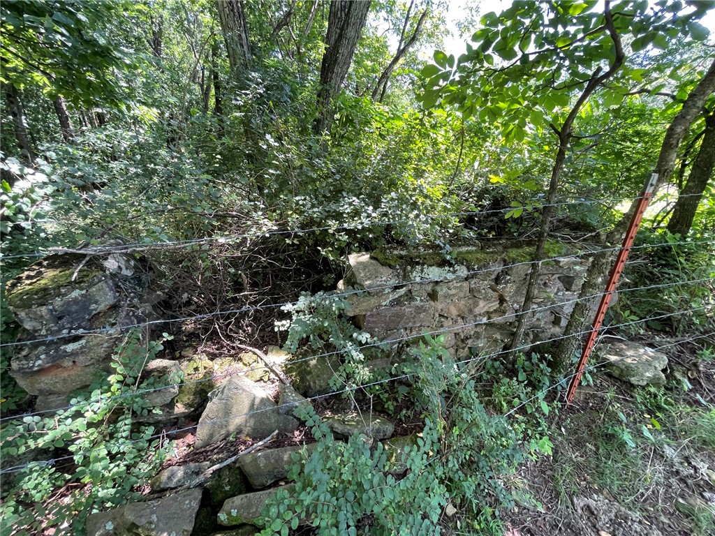 Image 22
