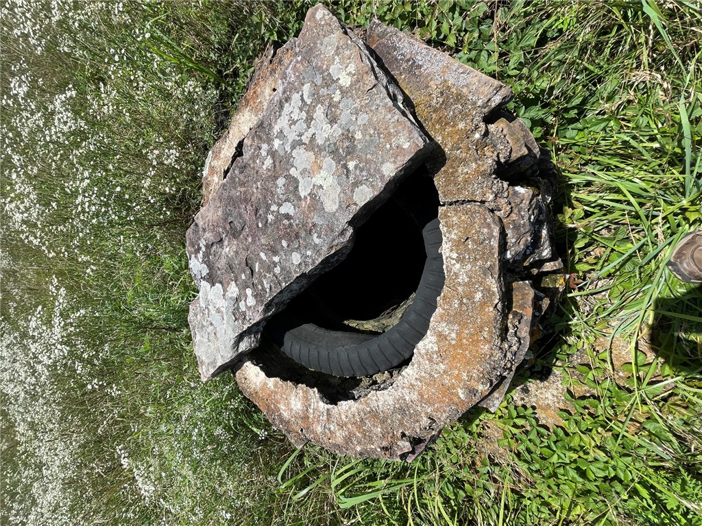 Image 24