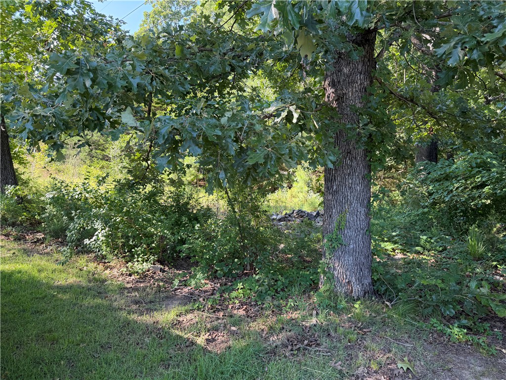 Image 25