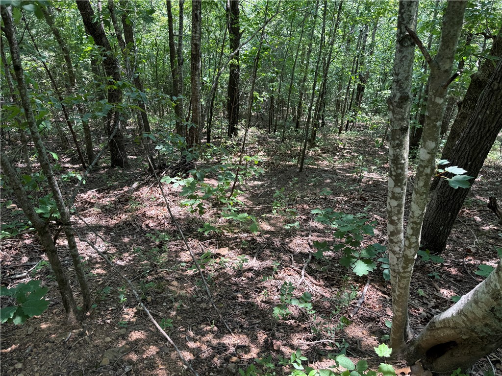 Image 13