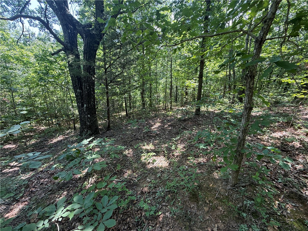 Image 14