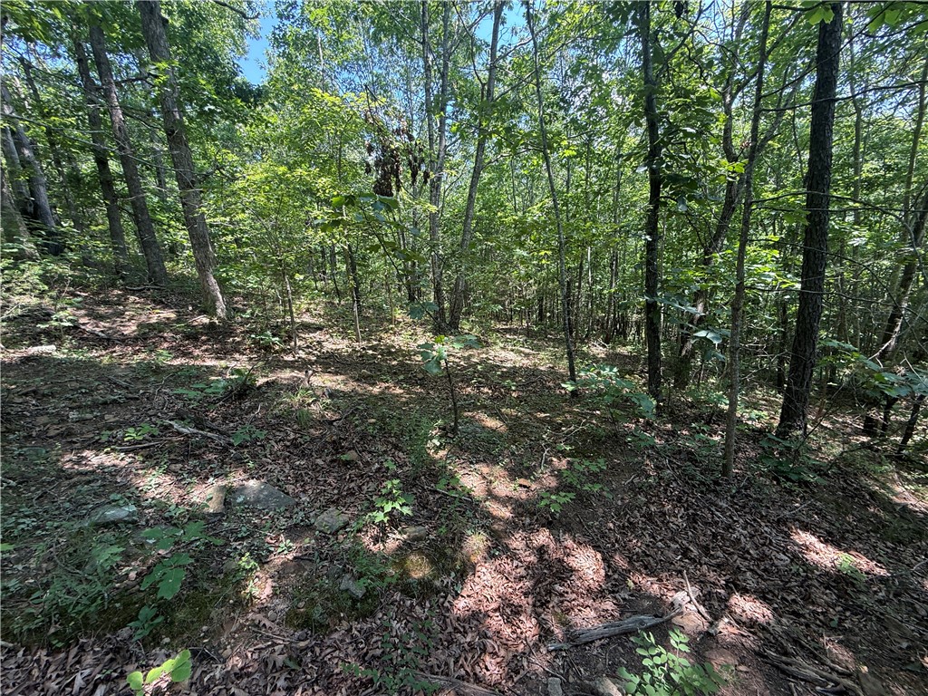 Image 15