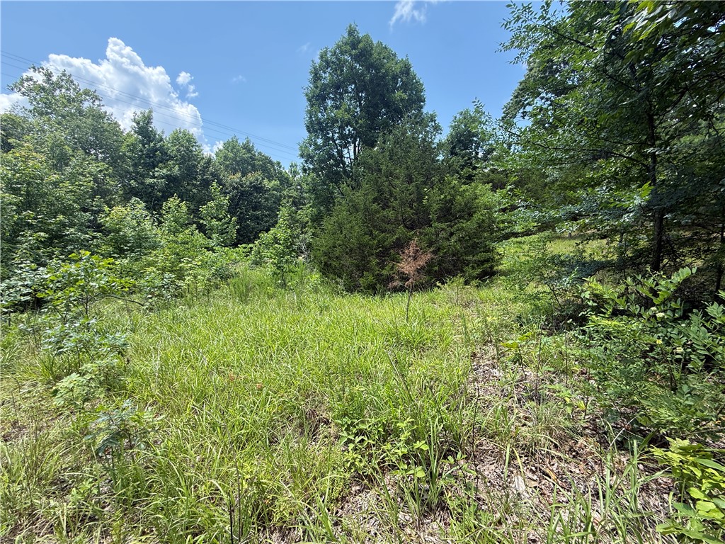 Image 19