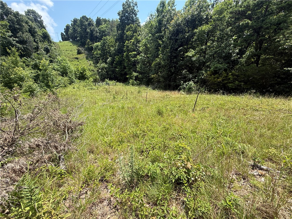 Image 21