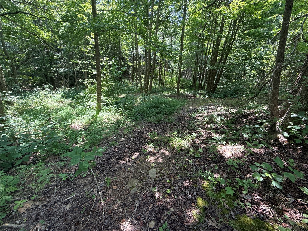 Image 31