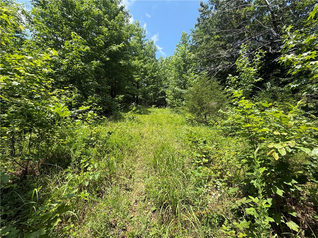Image 32