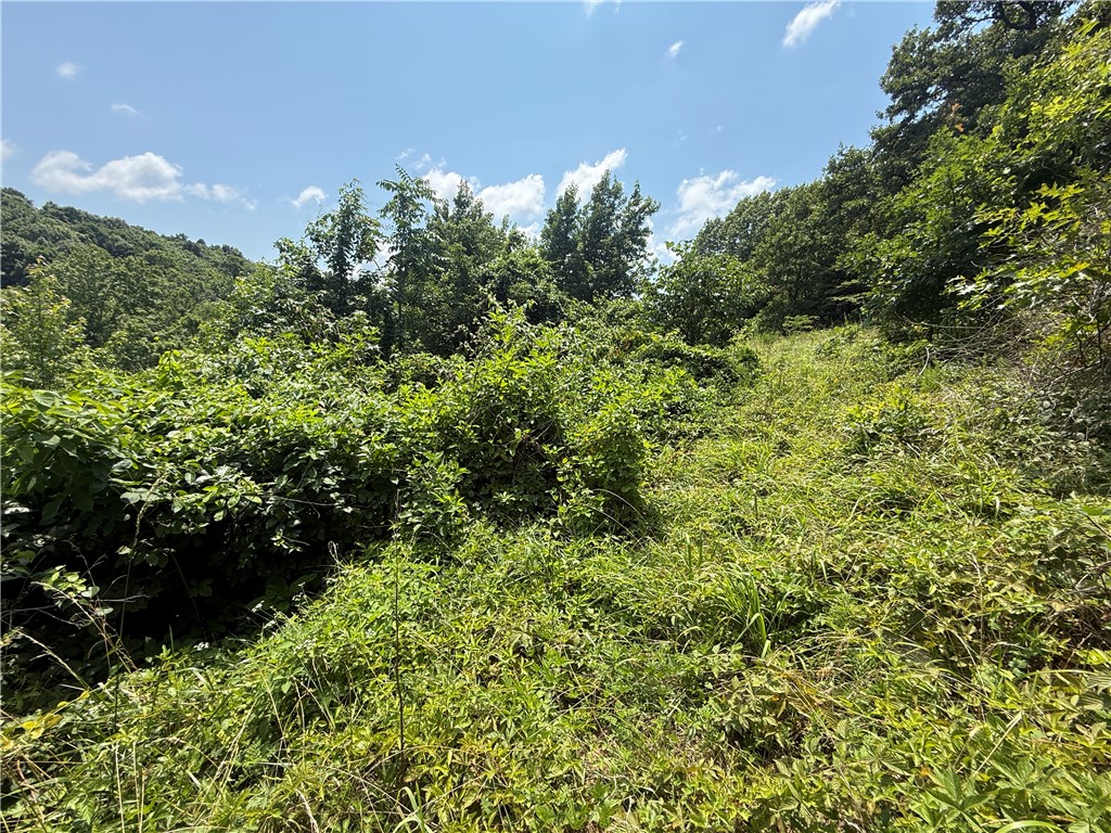 Image 34