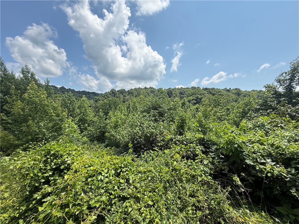 Image 35