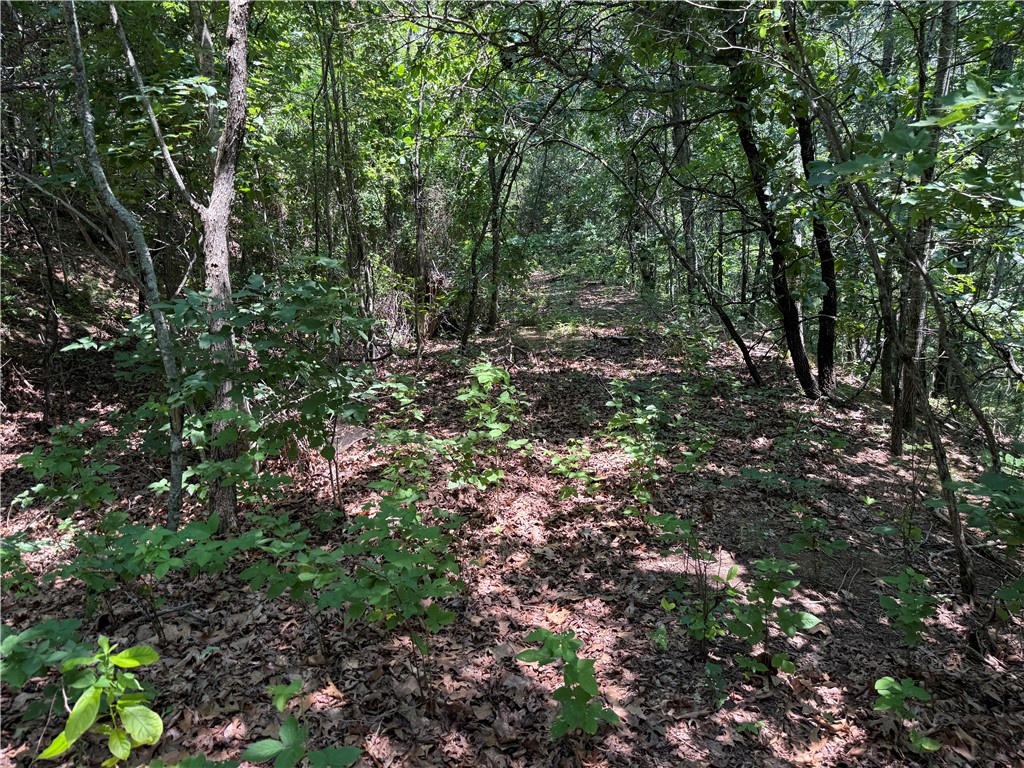 Image 9