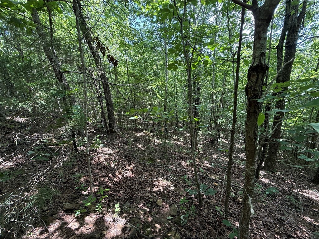 Image 13