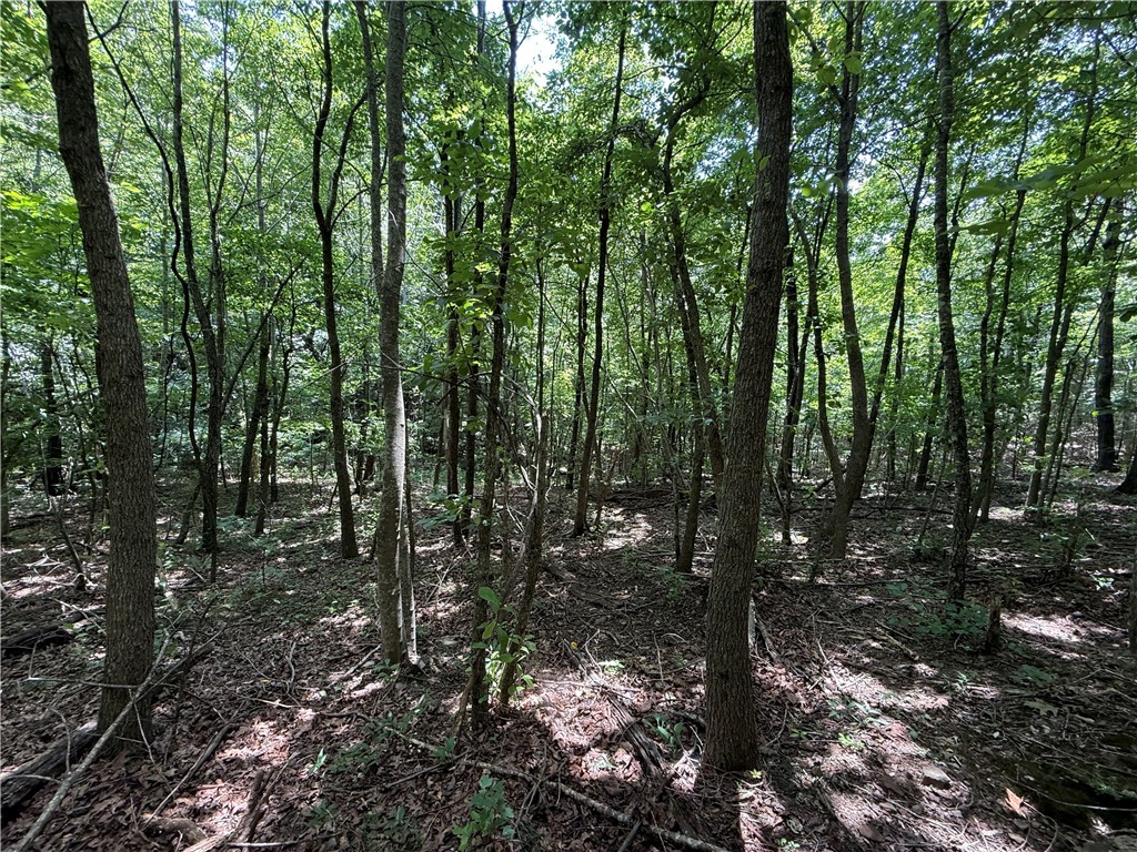 Image 14