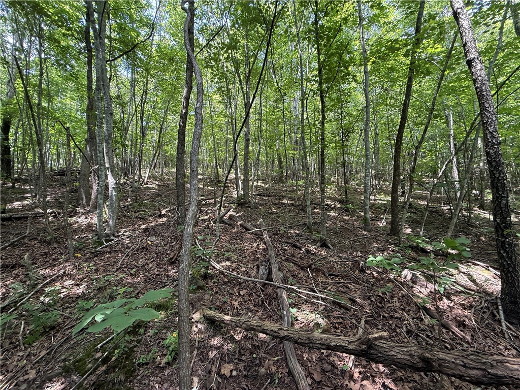 Image 15