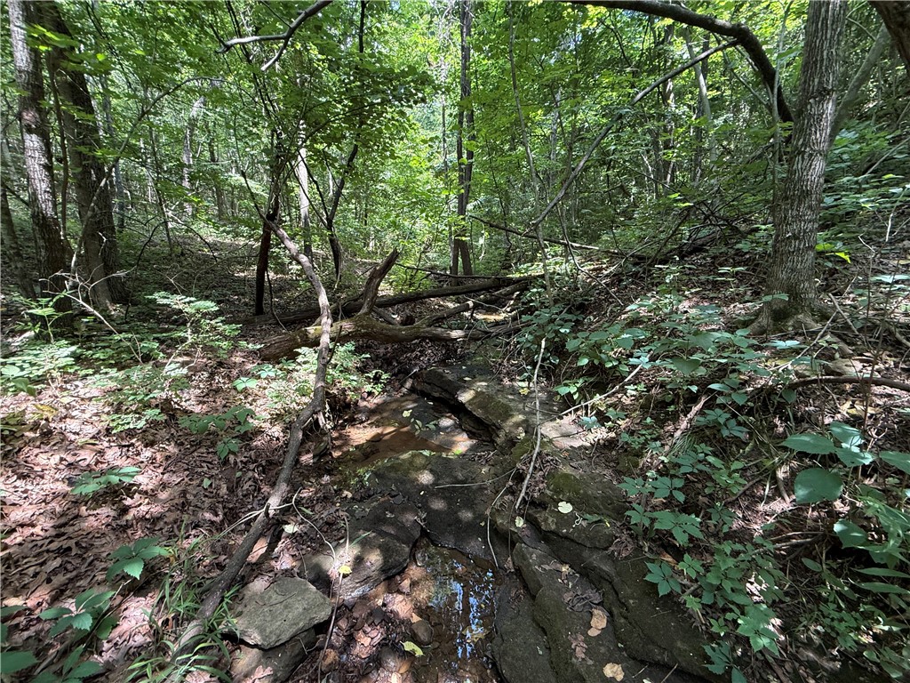 Image 19