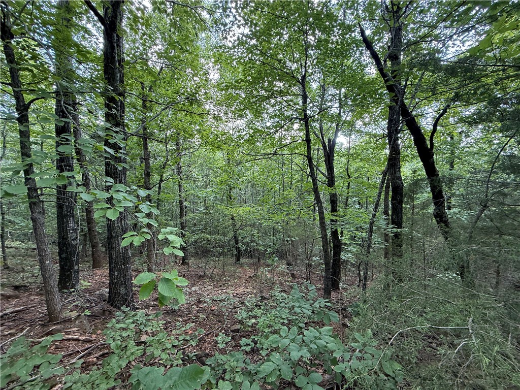 Image 25