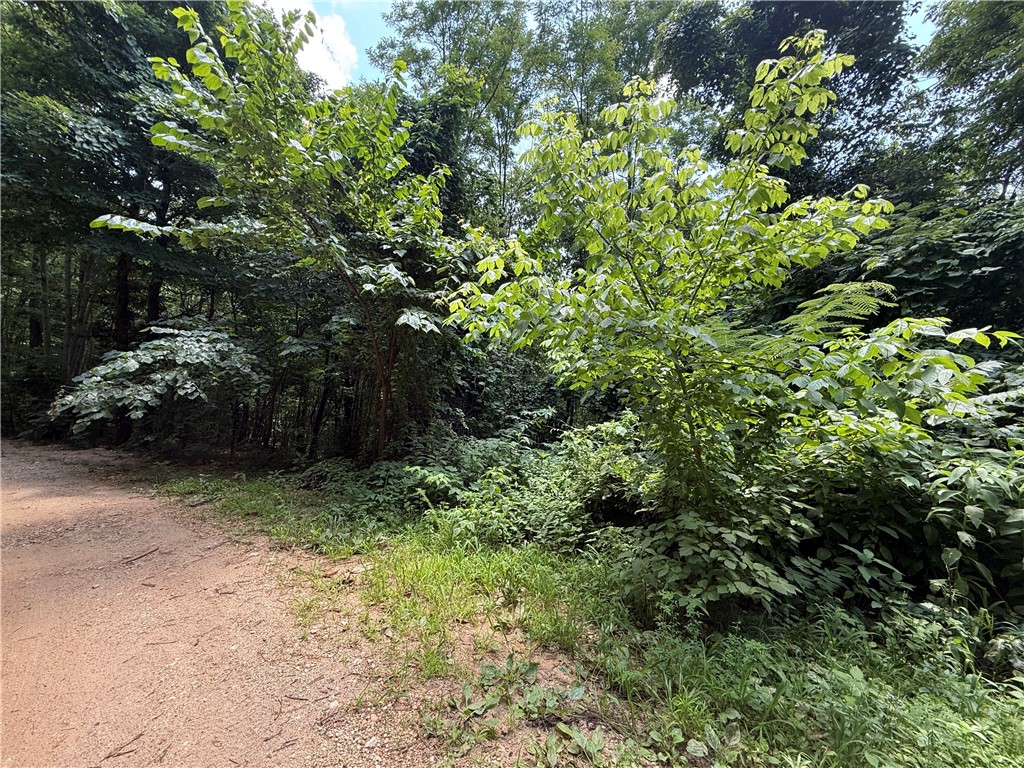 Image 6