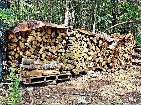 Image 31