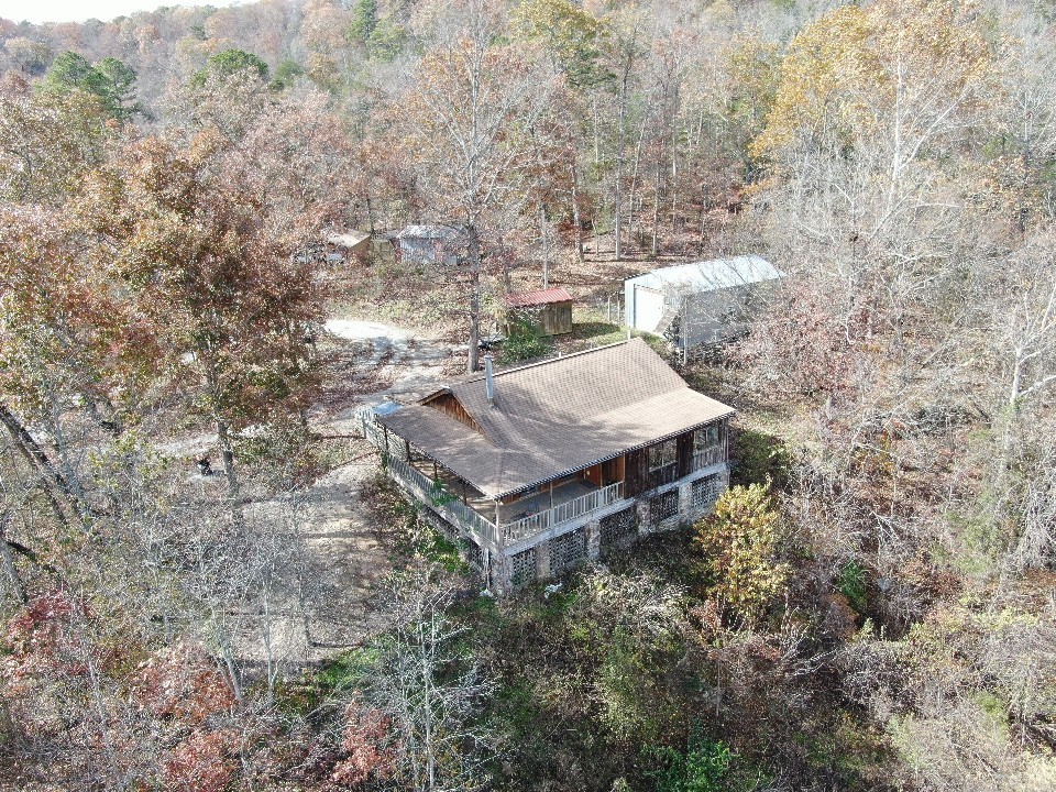 Image 15