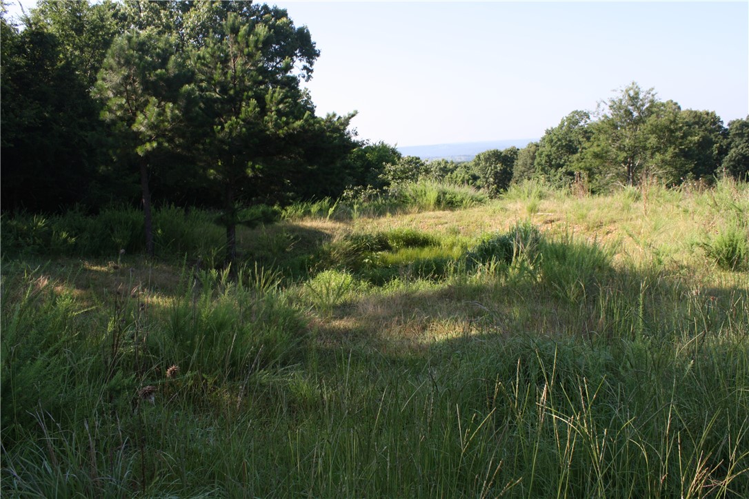 Image 13