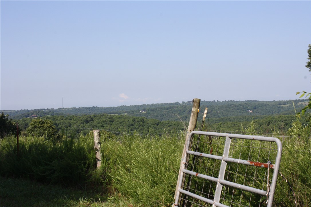 Image 14