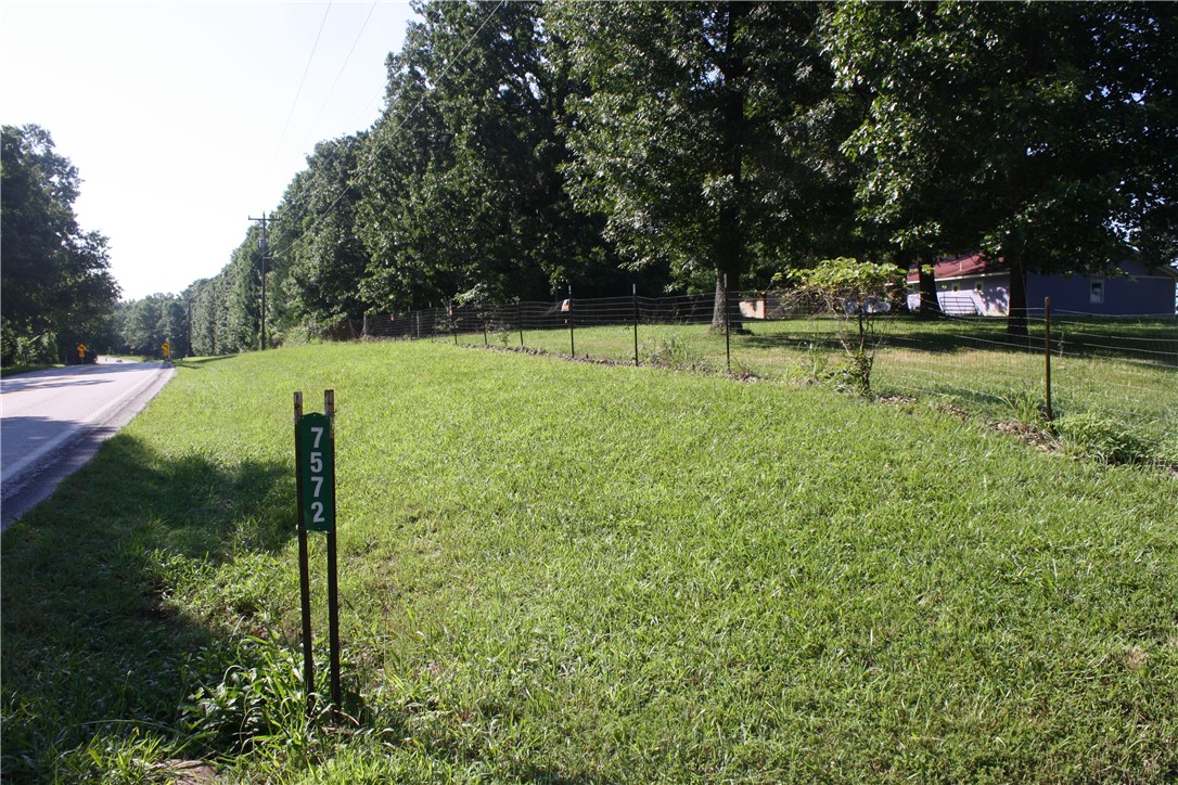 Image 15