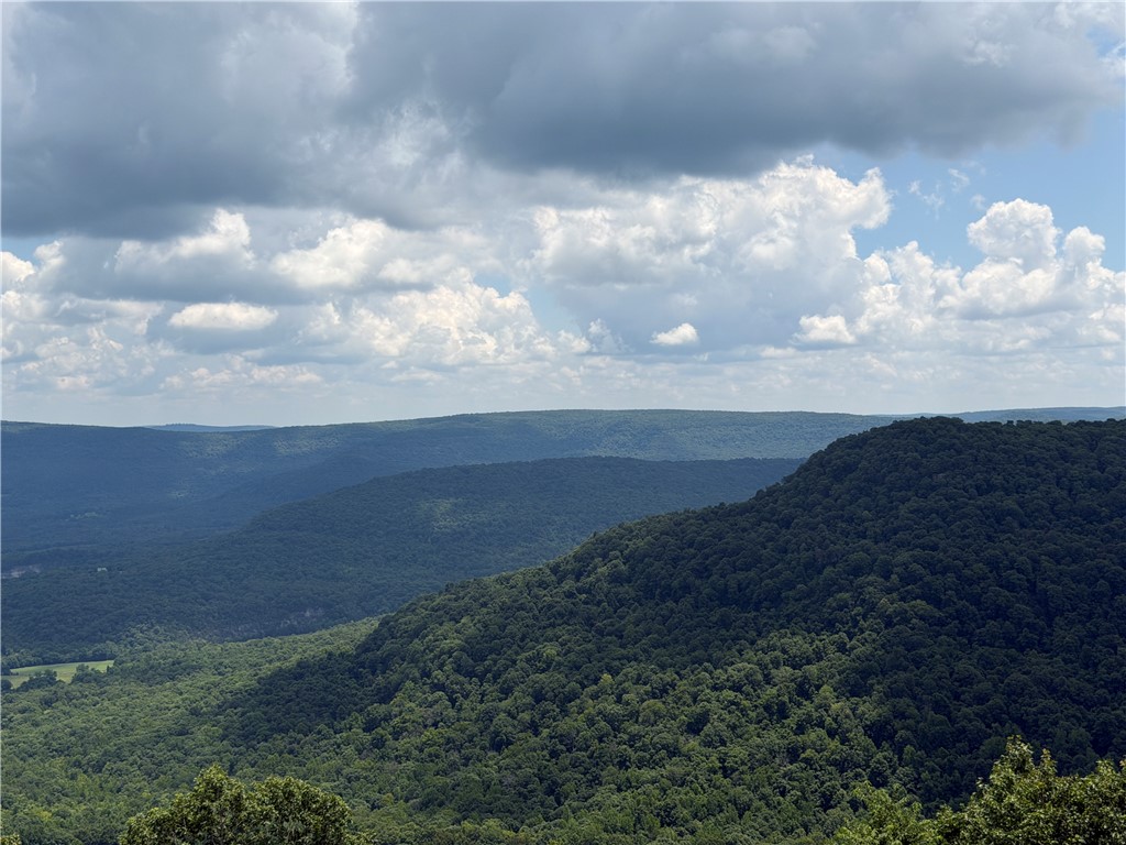 Image 10