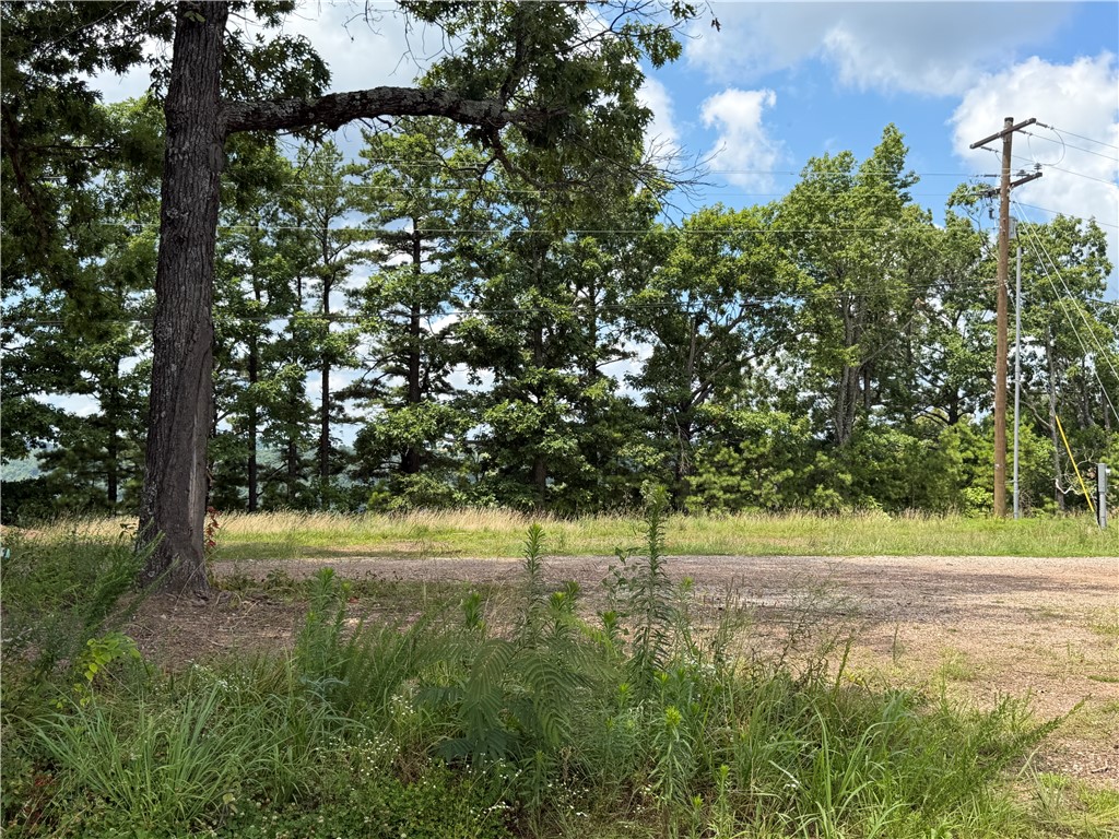 Image 12