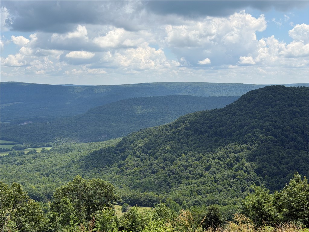 Image 9