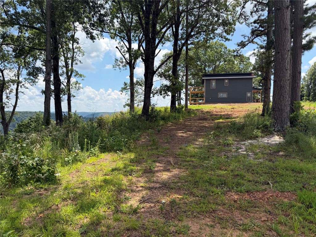 Image 10