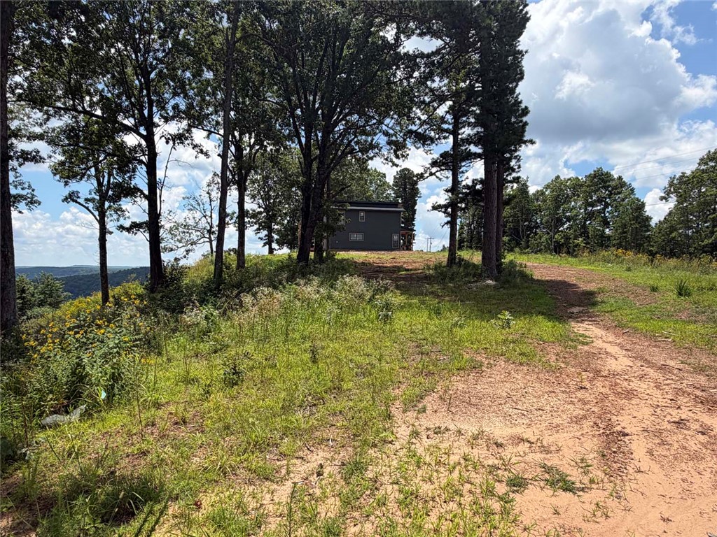 Image 12