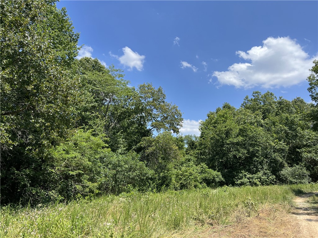 Ozark Haven Realty property-listing-thumbnail