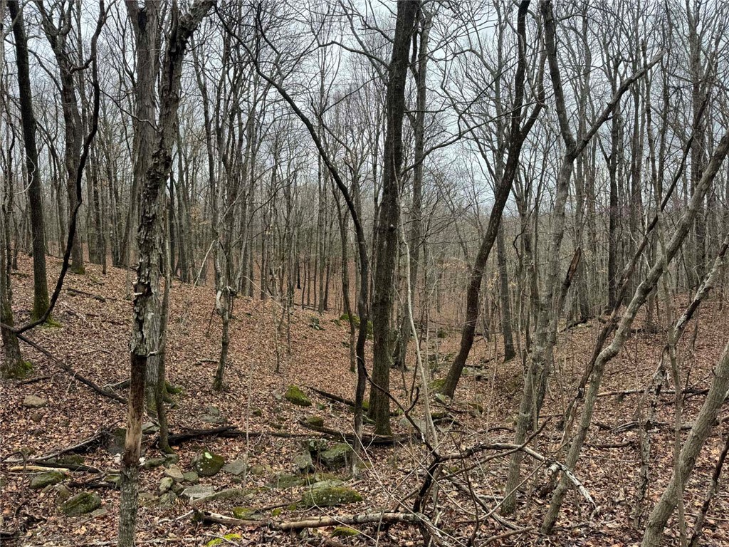 Image 10