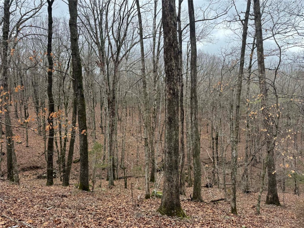 Image 12
