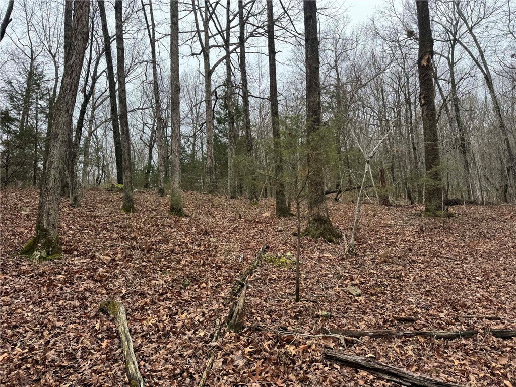 Image 14