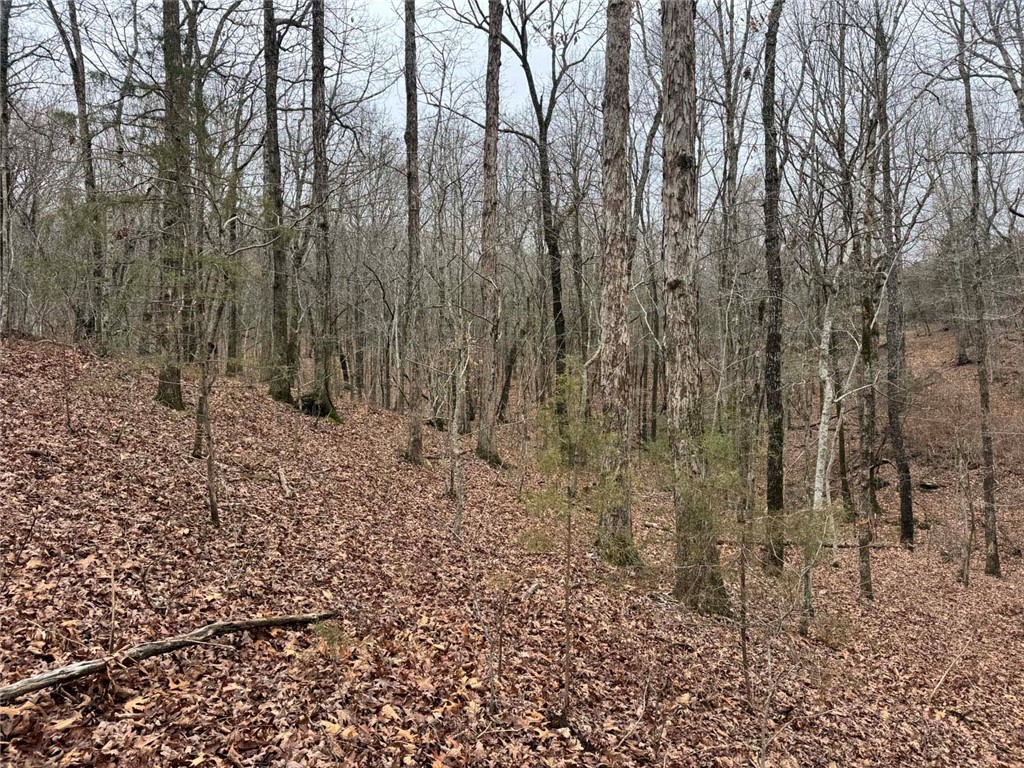 Image 15