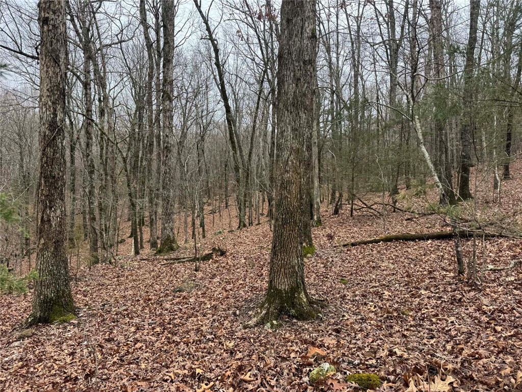 Image 18