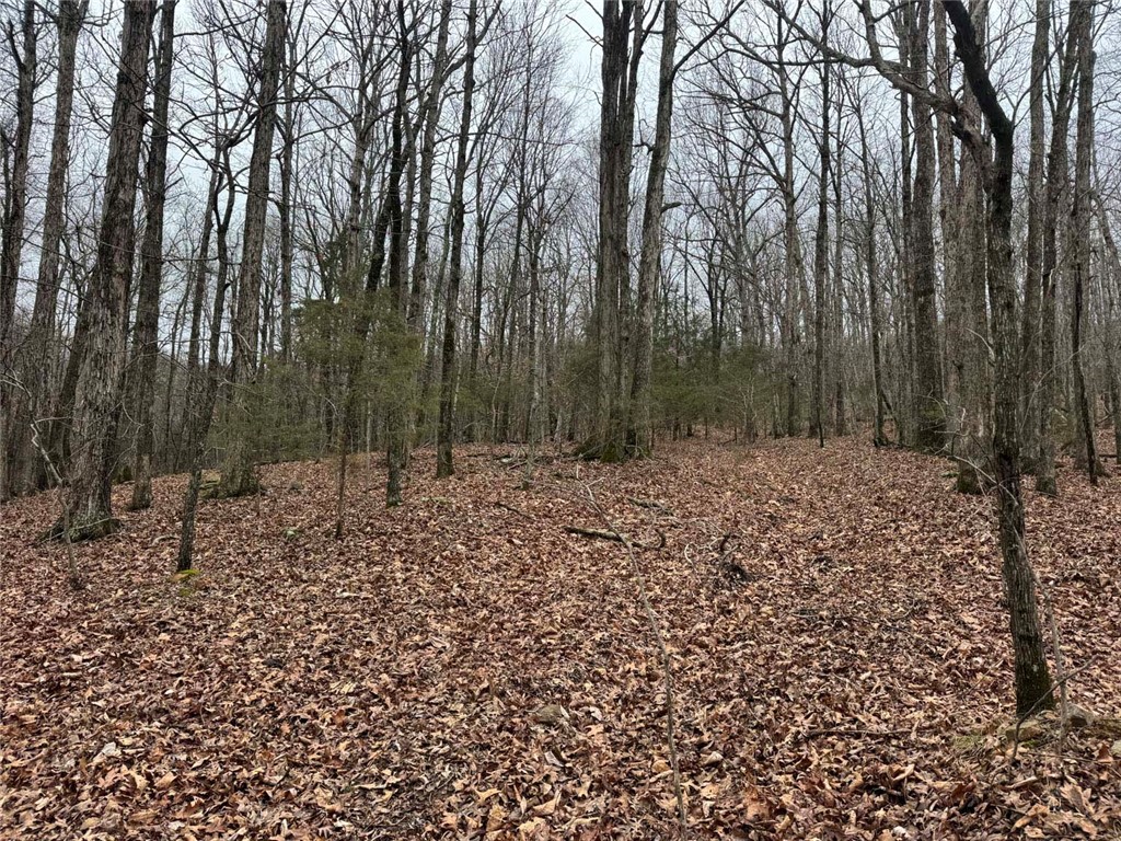 Image 19