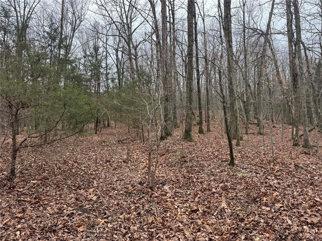Image 21