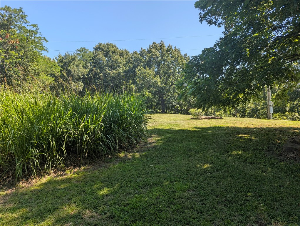 Image 31