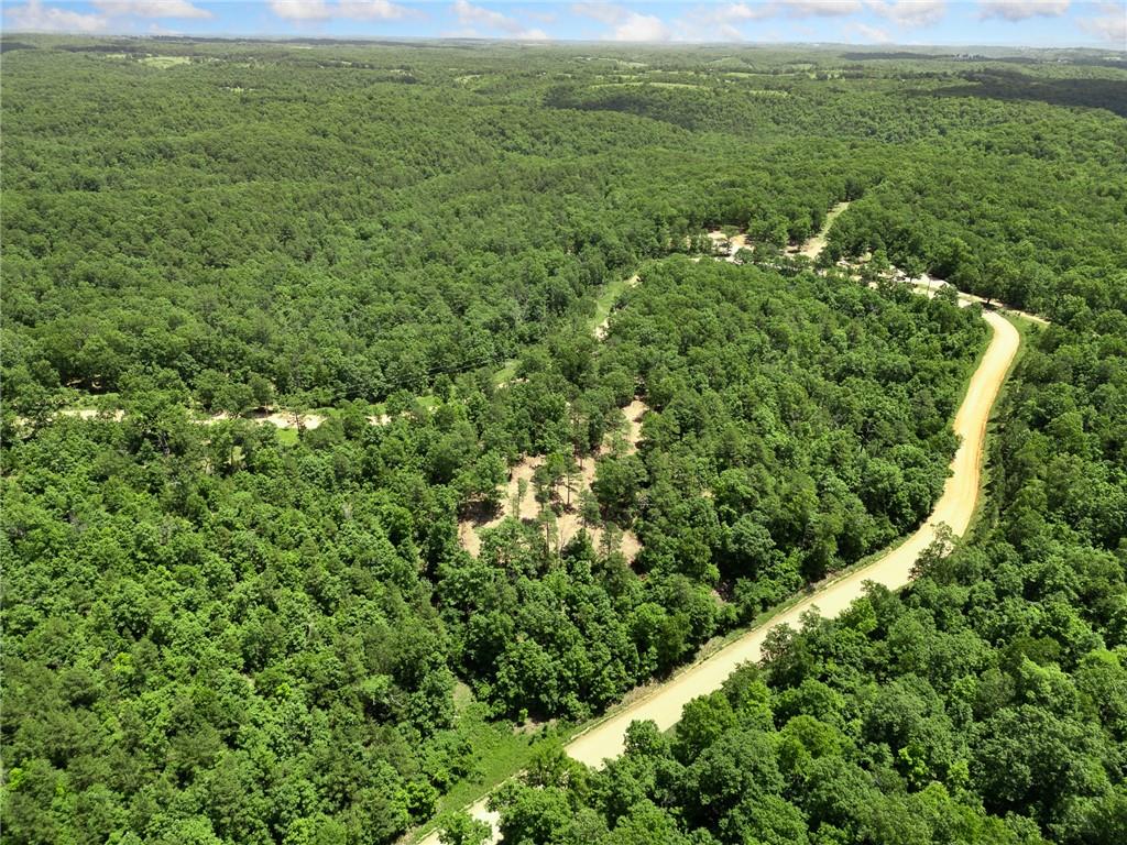 Image 24