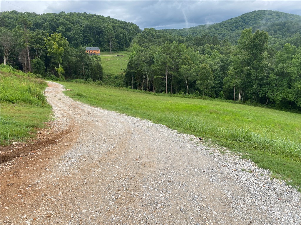 Image 45