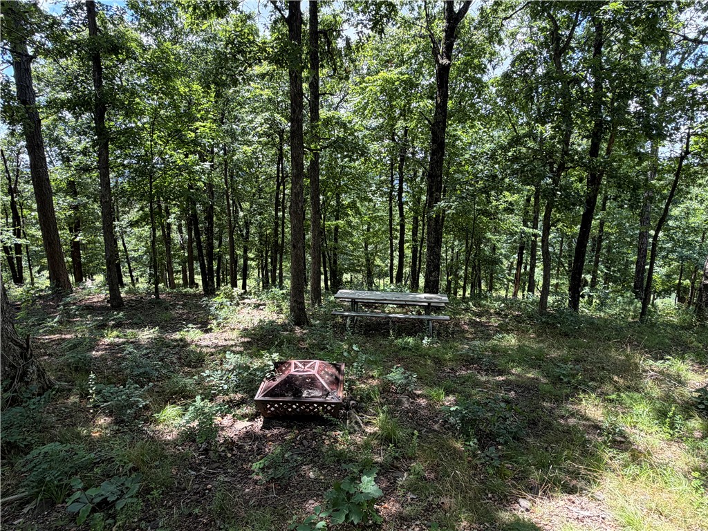 Image 15