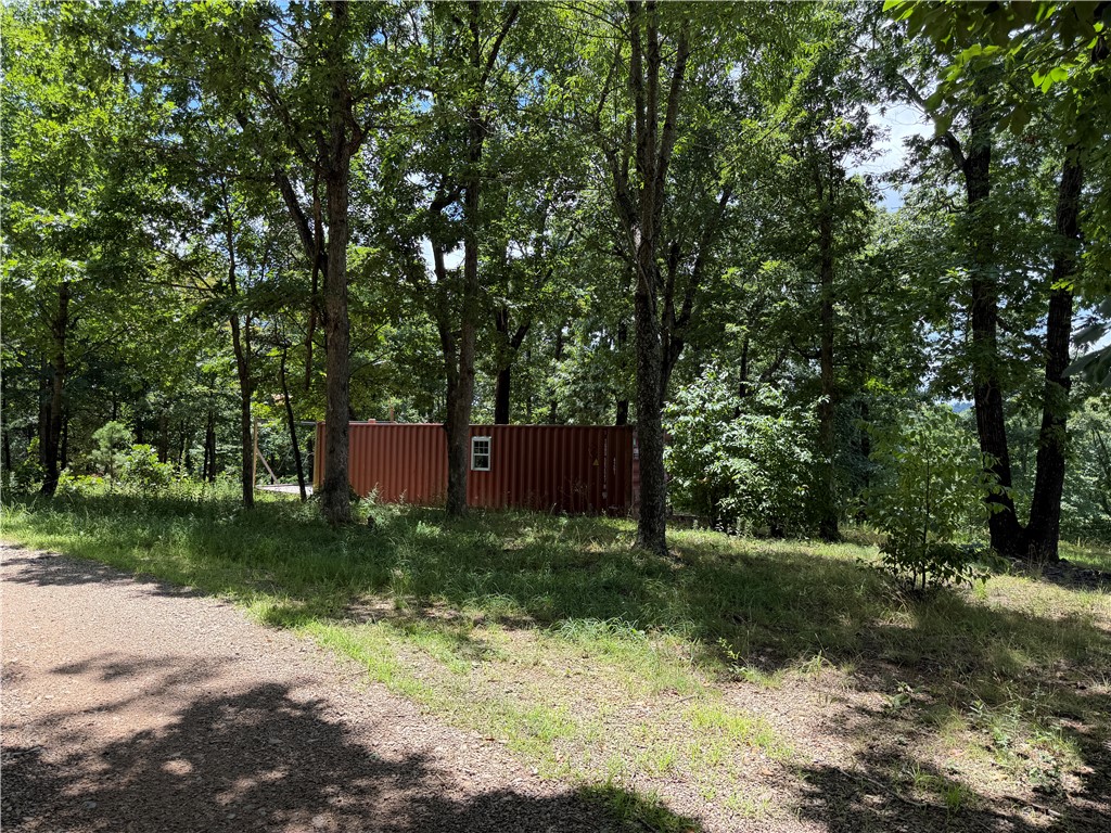 Image 6
