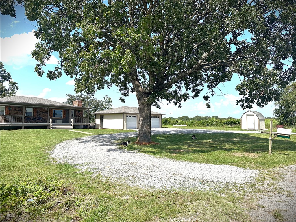 Image 11