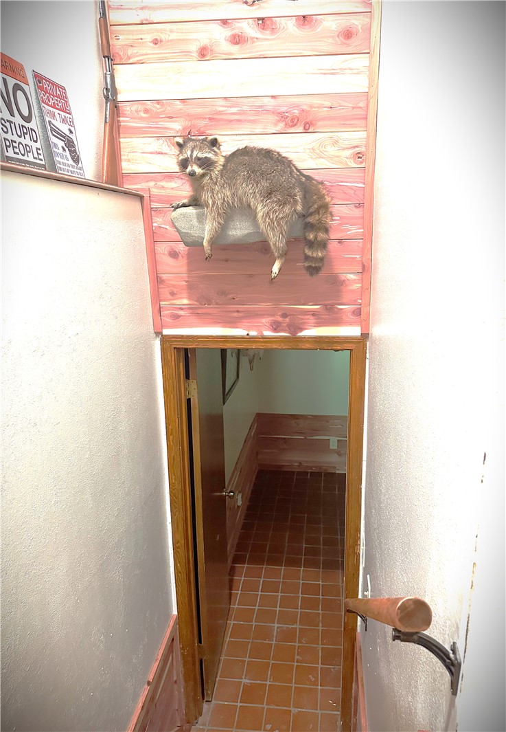 Image 31