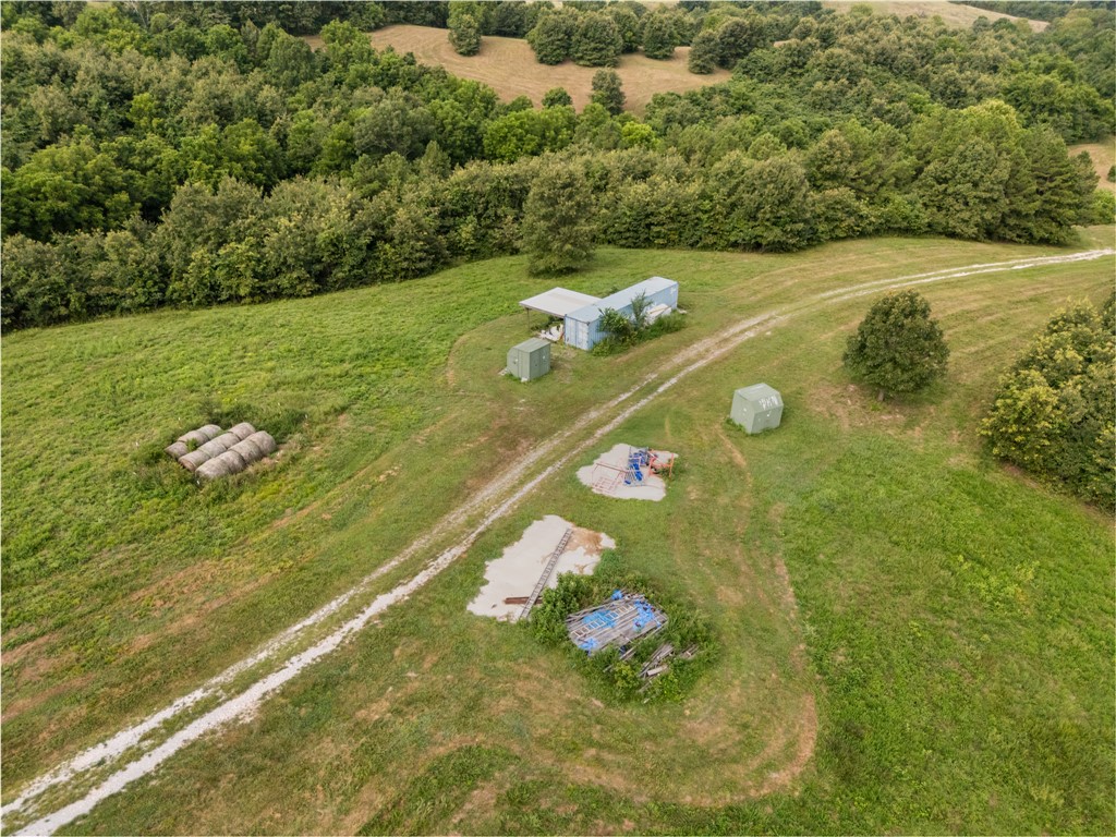 Image 15