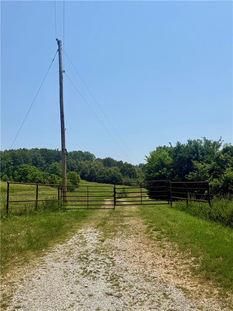 Image 16
