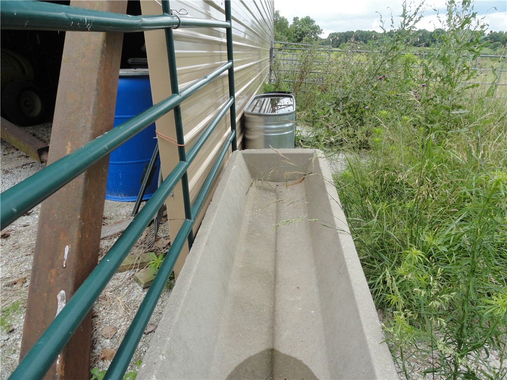 Image 15