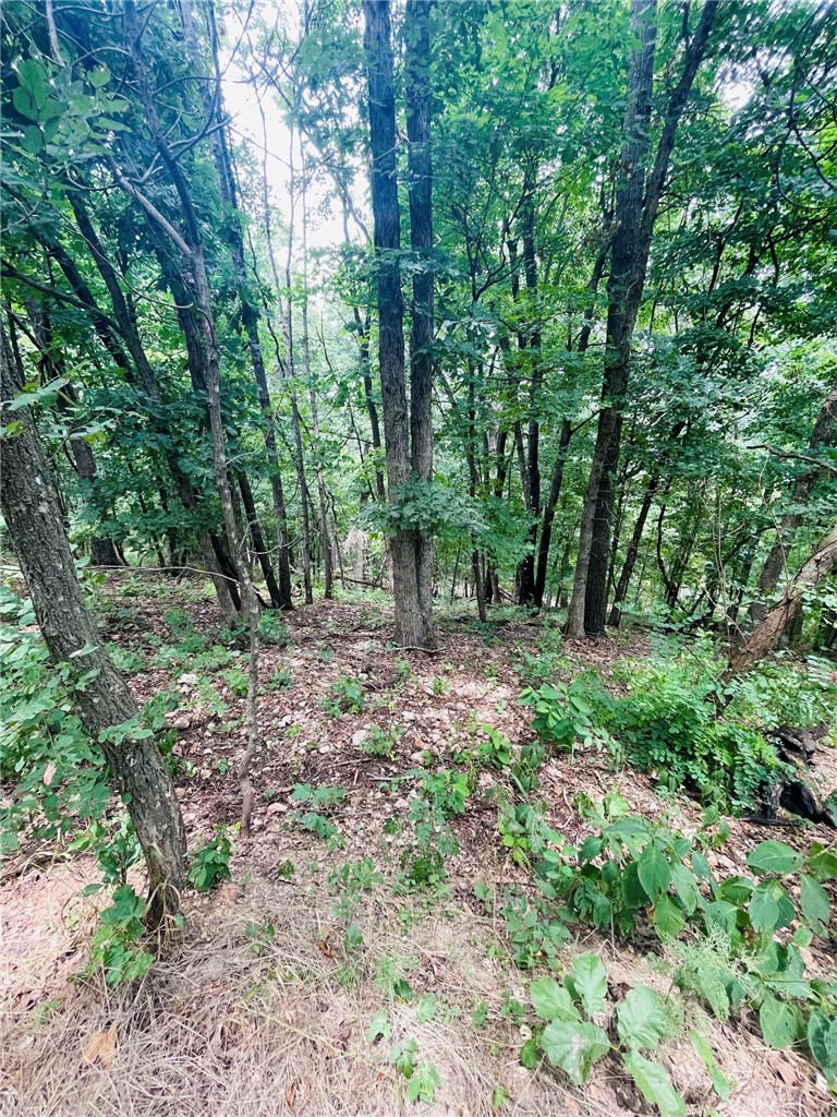 Image 10