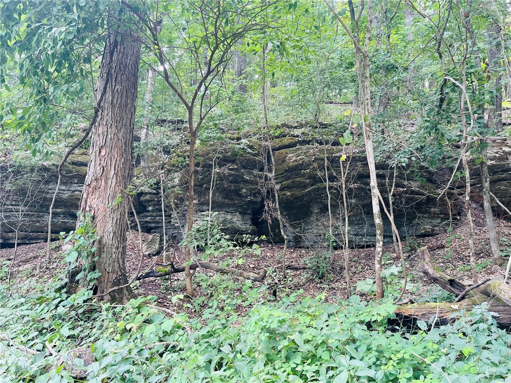 Image 12